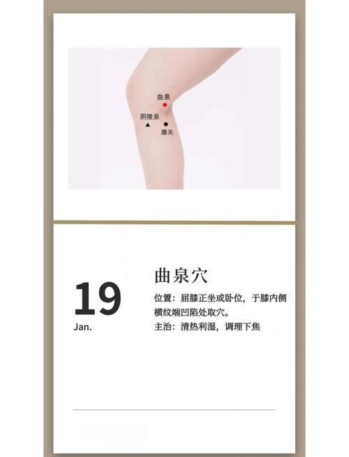 按摩曲泉穴位的作用