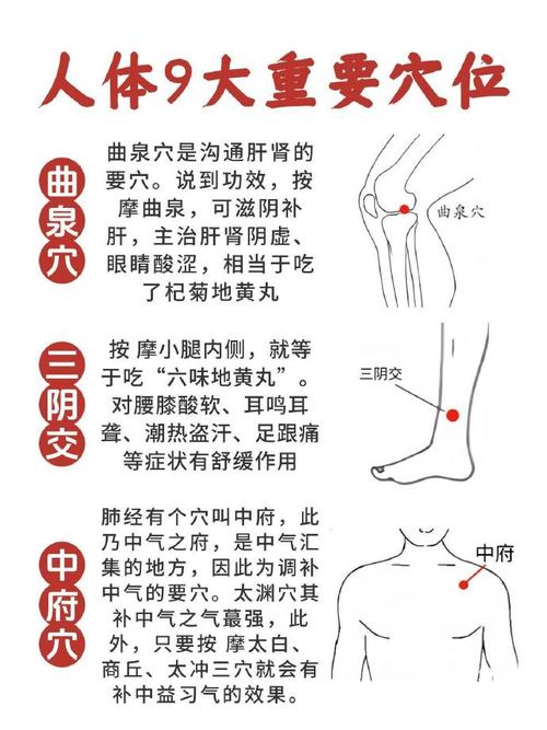 按摩曲泉穴位的作用