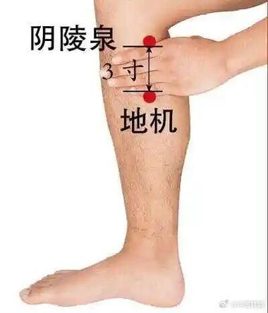 小腿骨内侧中段穴位