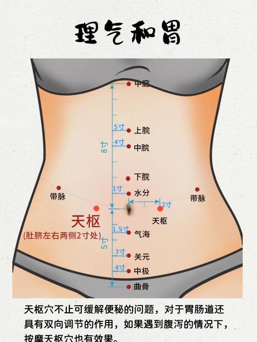 增强雌激素按摩穴位