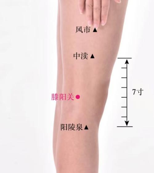 膝盖痛针灸哪些穴位