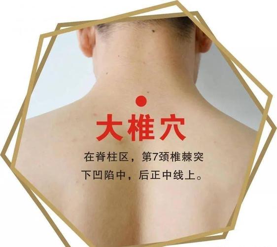 颈部大椎穴位置图片