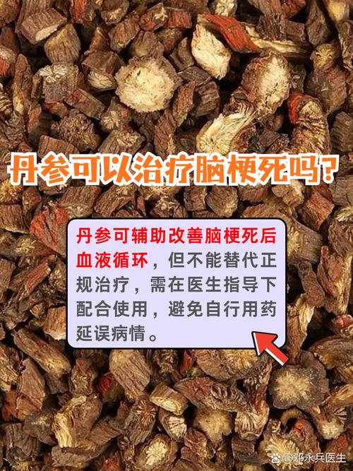 脑梗长期吃什么中药好