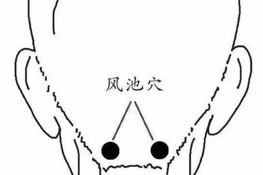 哪个穴位能抑制勃起