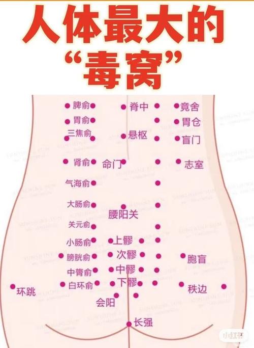 肚子周围有哪些穴位