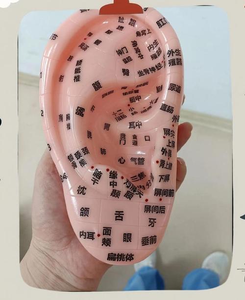 耳聋耳鸣穴位图按摩