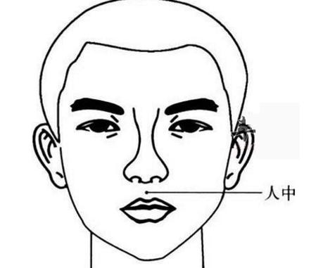 人体穴位图 人中穴