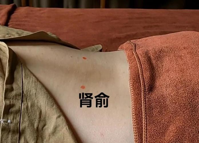 肾阳虚针炙什么穴位