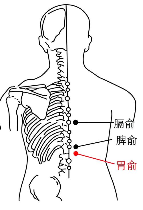 保健胰腺按什么穴位