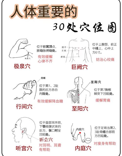 史上最全的穴位详解