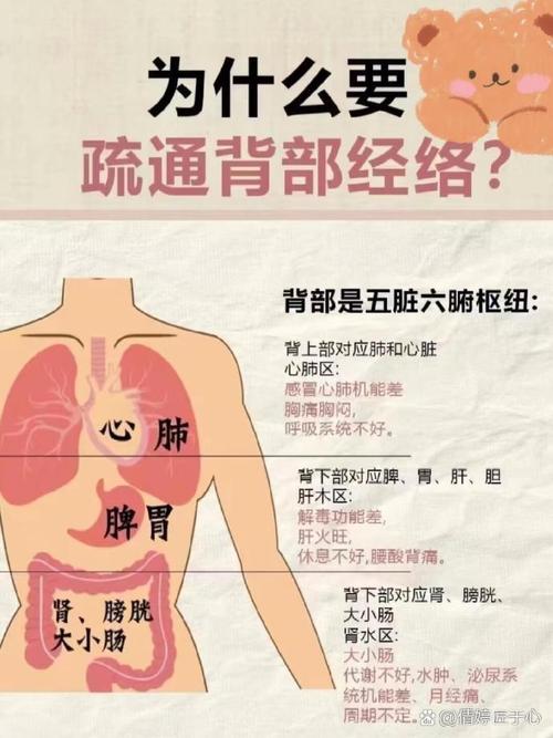 背部穴位反射区症状