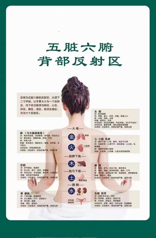 背部穴位反射区症状