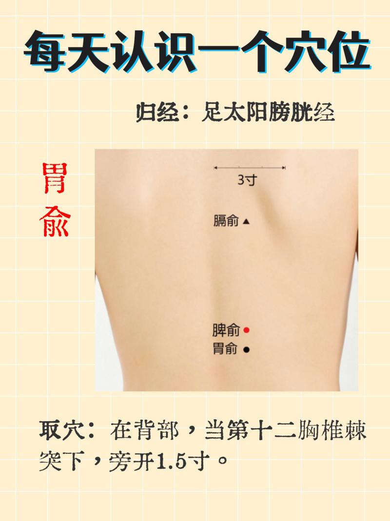 调理胃艾灸哪个穴位