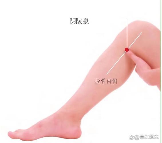 减小腿按摩哪个穴位