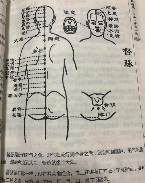 痔疮按什么穴位有效