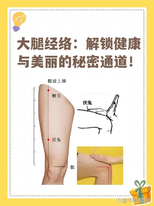 按穴位治疗大腿经痛