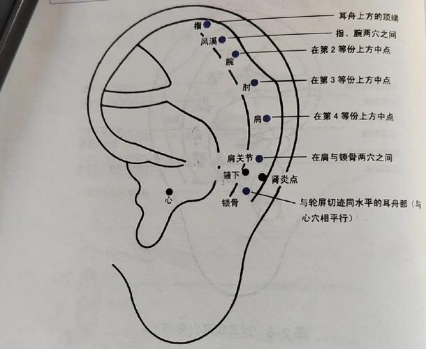 耳朵上管理眼睛穴位