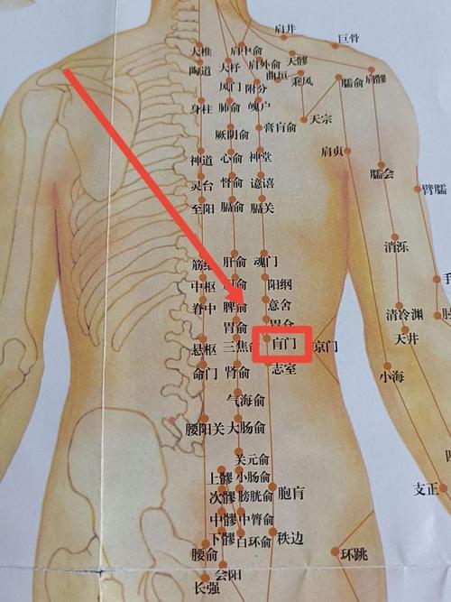腰部穴位在什么位置