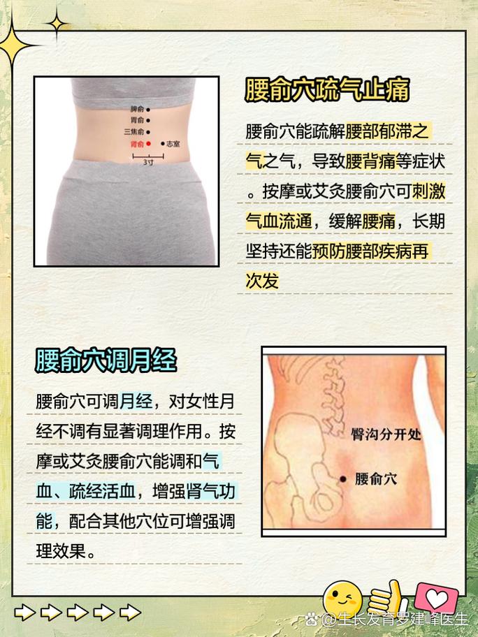 腰部穴位在什么位置