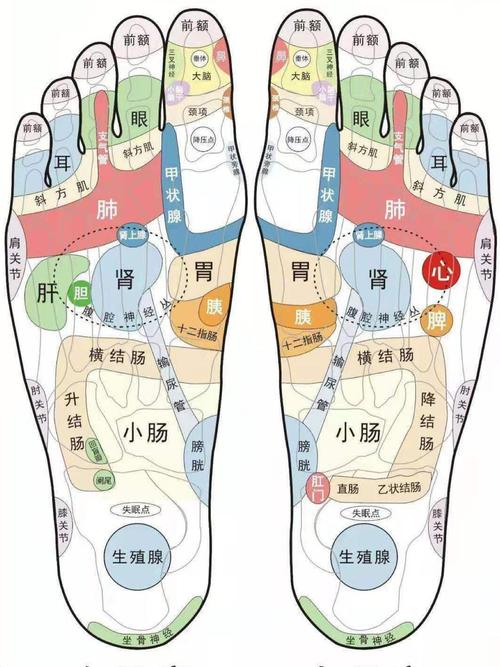 大脚趾麻木穴位理疗