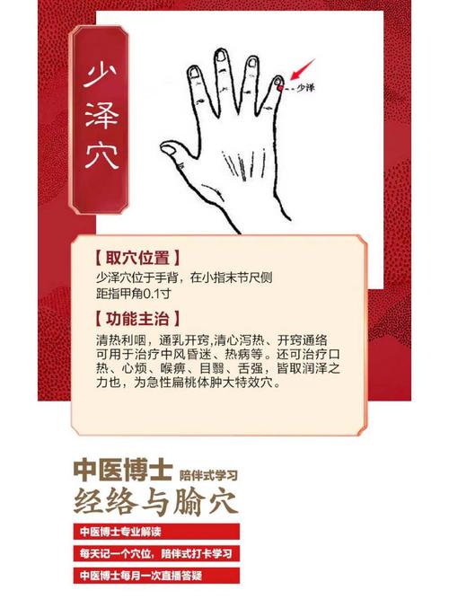 扁桃体 穴位 按摩