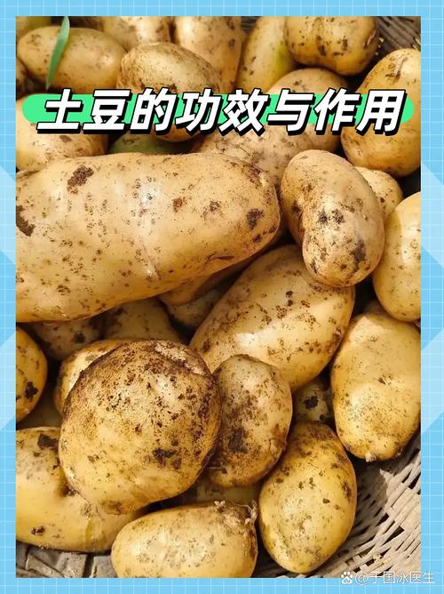 类风湿人可以吃土豆吗