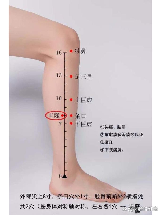 腿部外侧有什么穴位