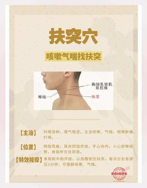 治疗热性咳嗽的穴位