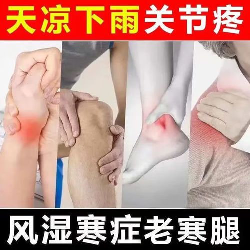 什么药酒可以治风湿病