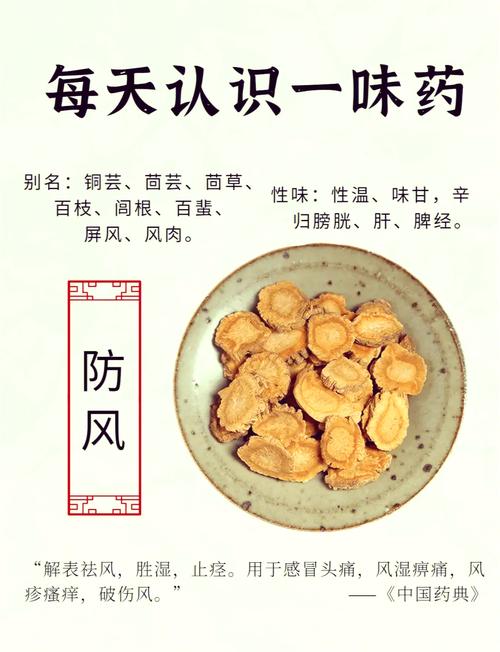 治疗风湿寒痹的中成药