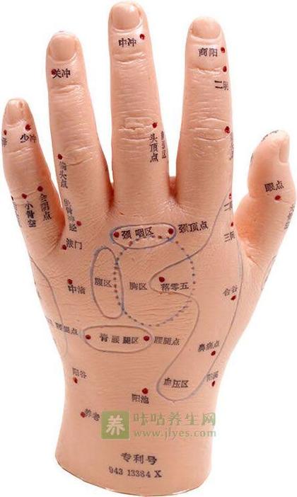 颈椎对应的手背穴位