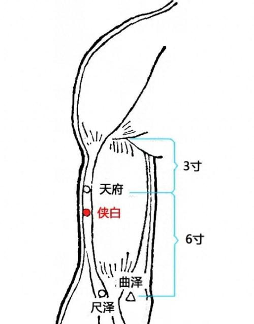 手肘痛按摩哪些穴位