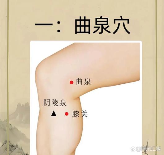 膝盖疼按压什么穴位