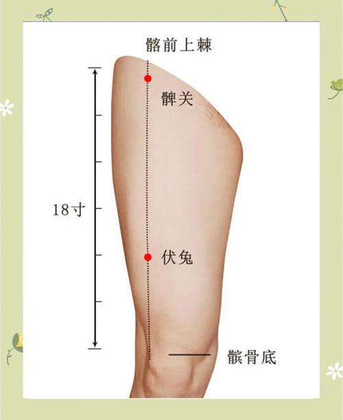 膝盖疼按压什么穴位