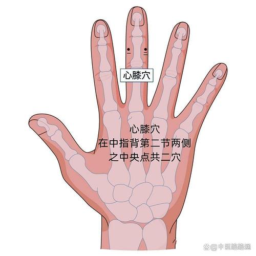 膝盖疼按压什么穴位