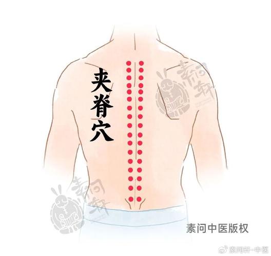 夹脊穴包括哪些穴位
