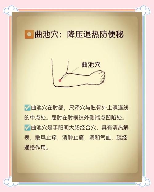 人体穴位经络图曲池