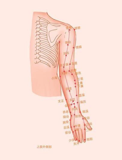胳膊内侧是什么穴位