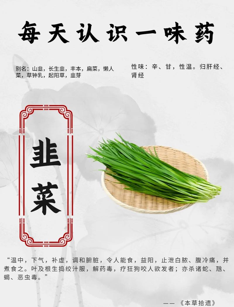 韭菜和白酒能治风湿吗