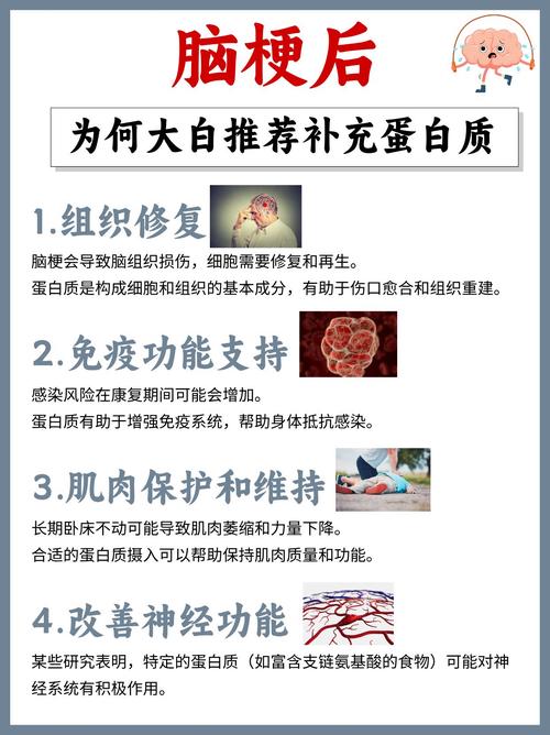 脑梗贫血吃什么食物好