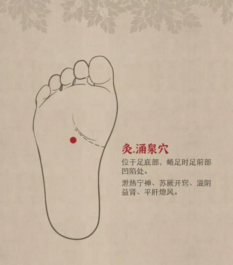 口水多要按哪些穴位