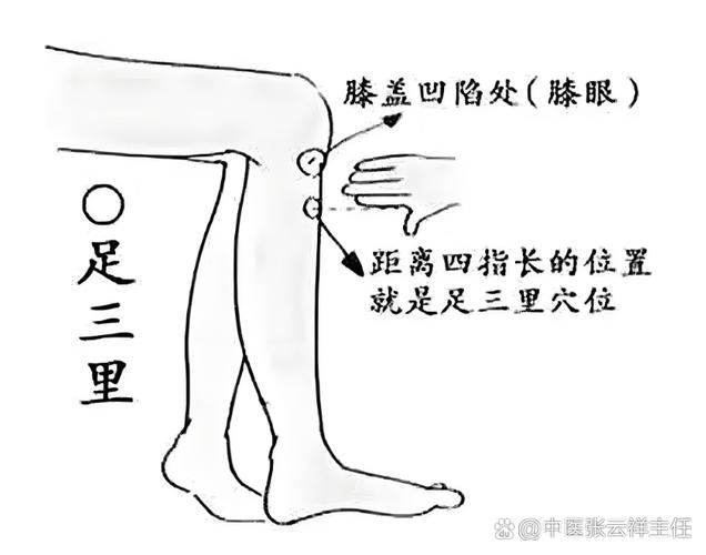 按摩小孩小腿穴位图