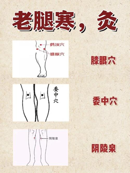 膝盖疼艾灸疗法穴位