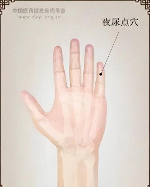 治疗宝宝尿频的穴位