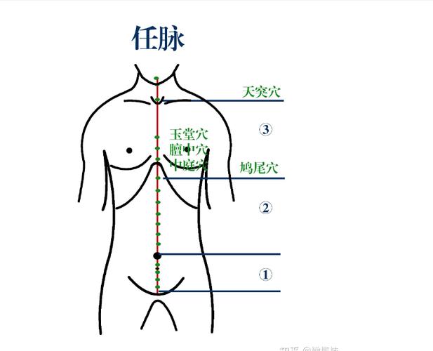 打通任脉按什么穴位