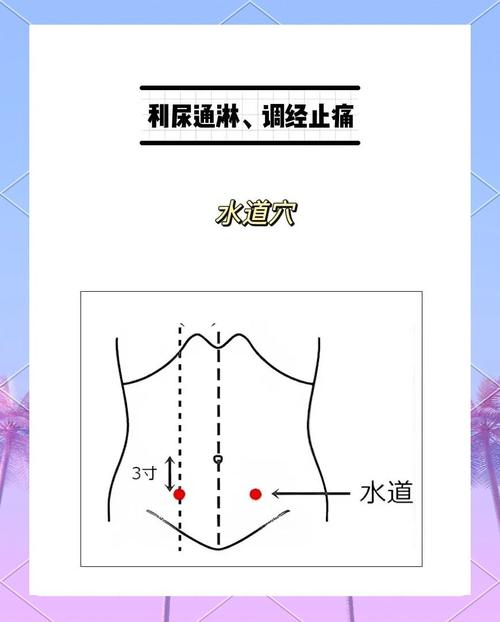 小便刺痛按哪个穴位