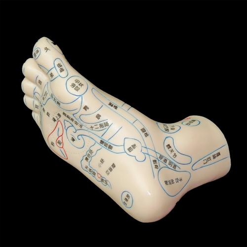 脚底哪个穴位能死人