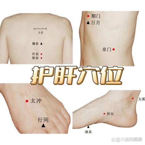 肝脏肿瘤按什么穴位