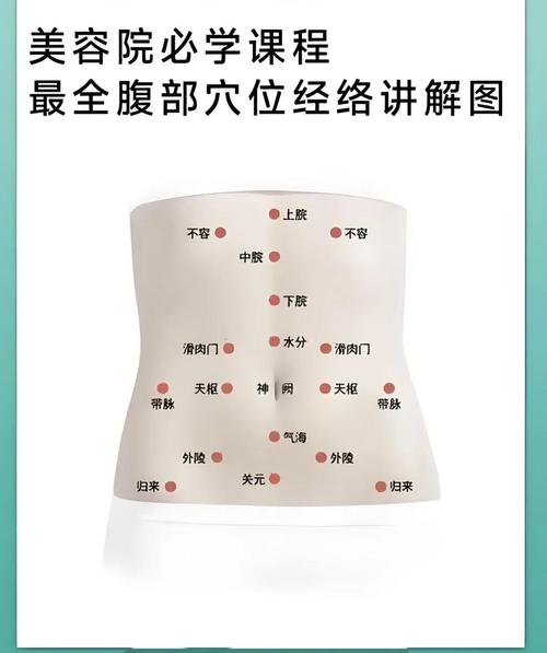 减肚子针灸什么穴位