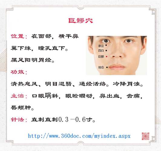 鼻子流血按哪个穴位